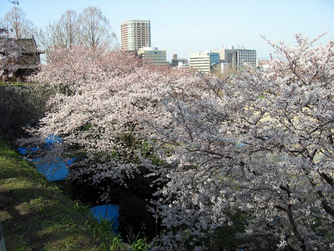 按此在新視窗瀏覽圖片