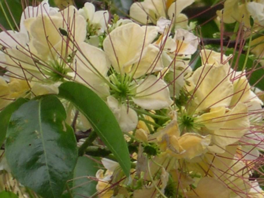 按此在新視窗瀏覽圖片