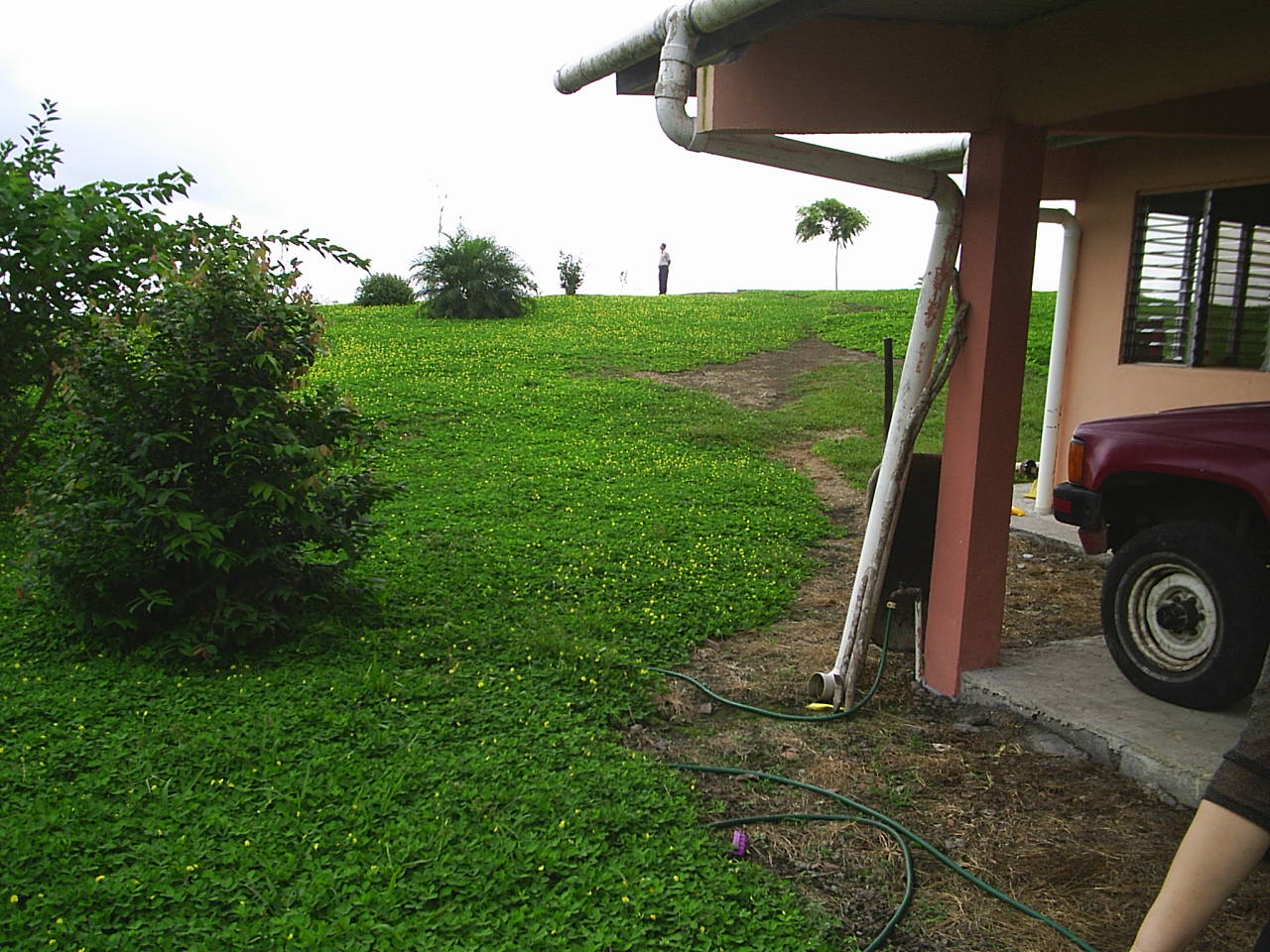 按此在新視窗瀏覽圖片