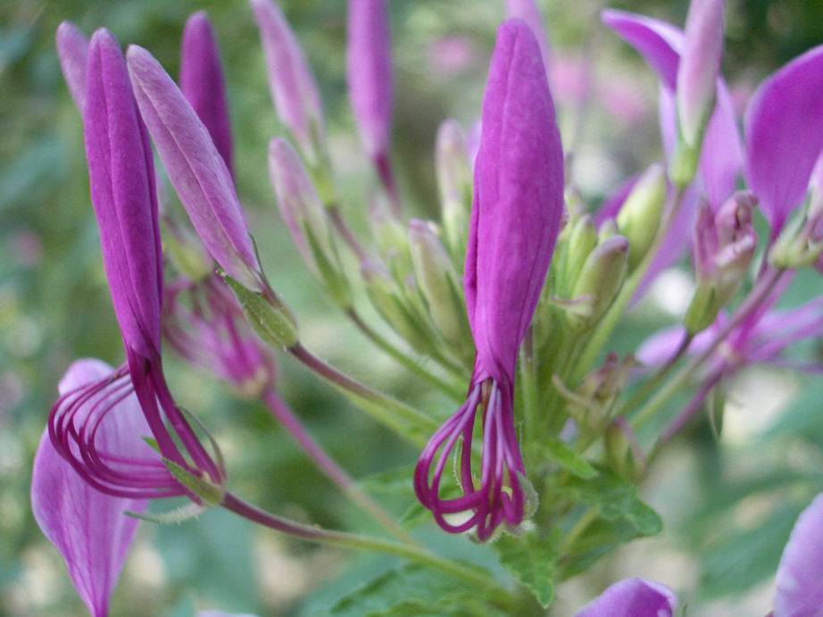 按此在新視窗瀏覽圖片