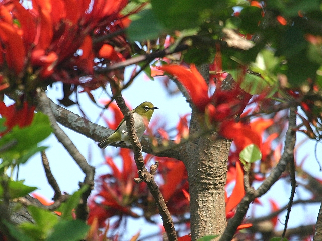 按此在新視窗瀏覽圖片