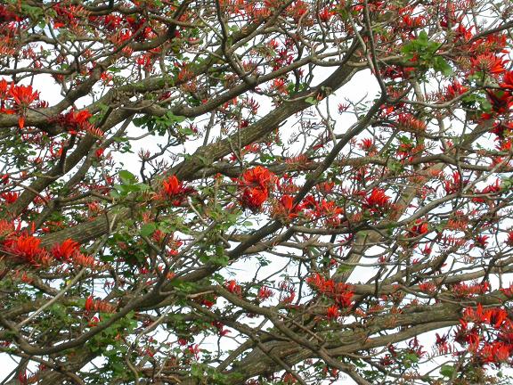 按此在新視窗瀏覽圖片