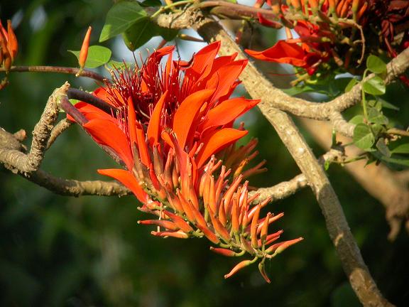 按此在新視窗瀏覽圖片