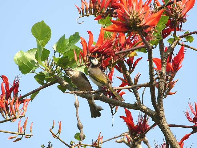 按此在新視窗瀏覽圖片