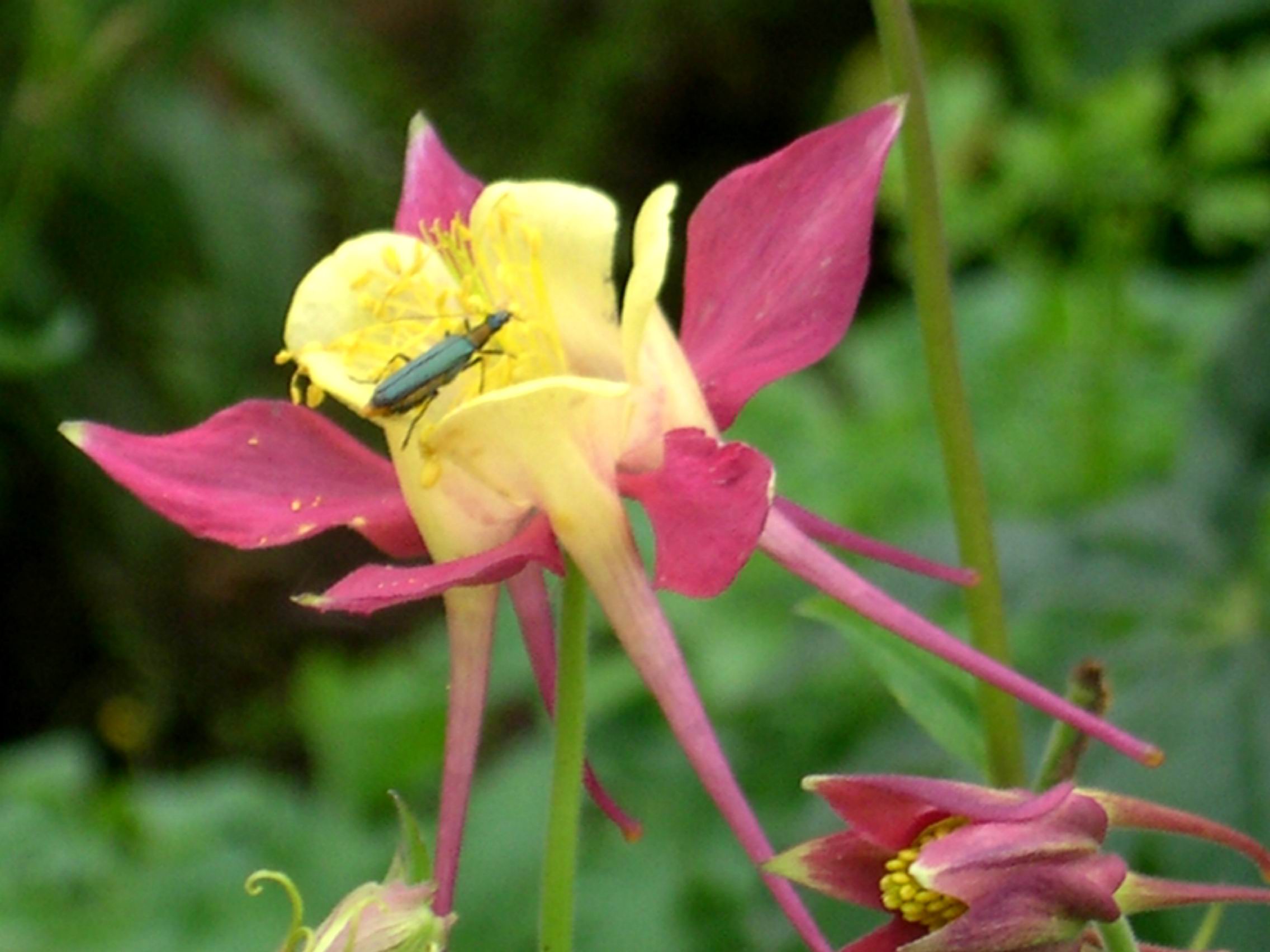 按此在新視窗瀏覽圖片
