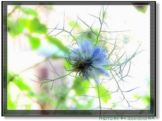 «ö¦¹¦b·sµøµ¡ÂsÄý¹Ï¤ù