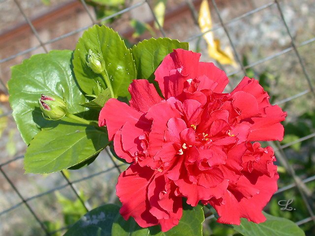 按此在新視窗瀏覽圖片