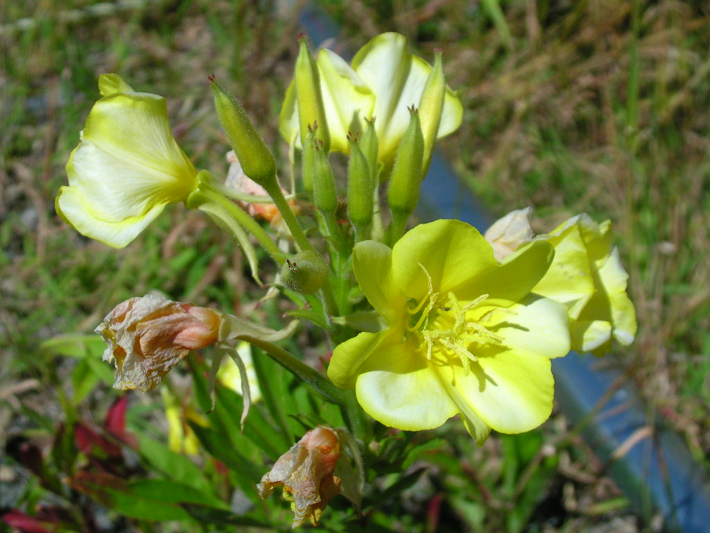 按此在新視窗瀏覽圖片