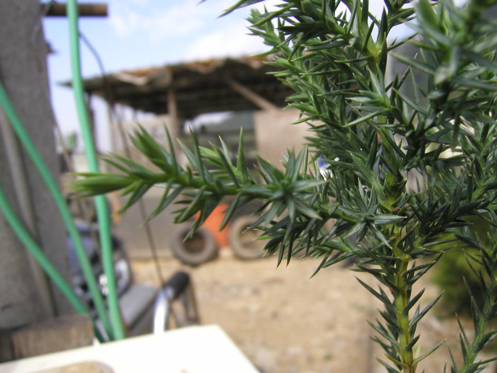 按此在新視窗瀏覽圖片