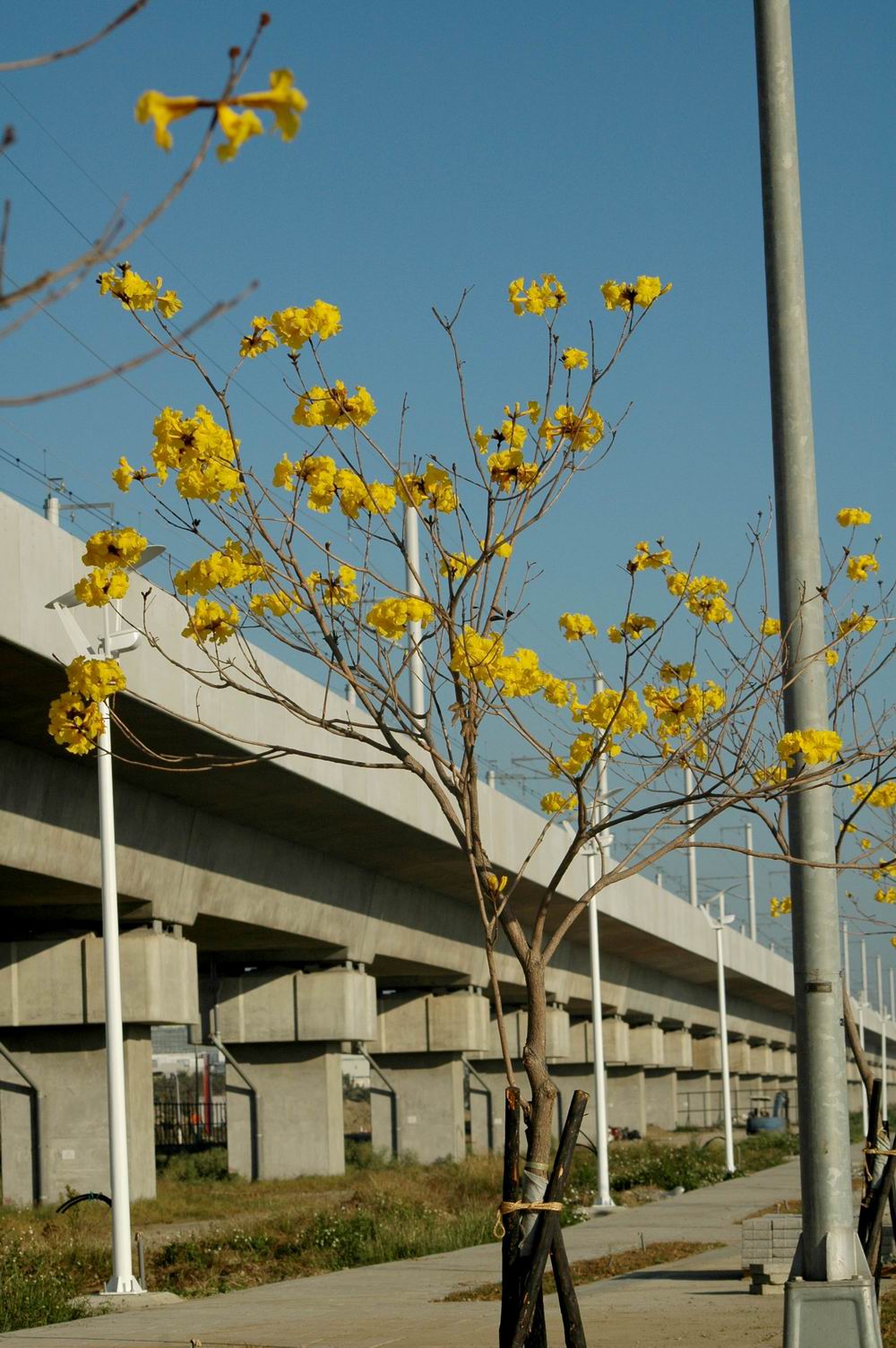 按此在新視窗瀏覽圖片