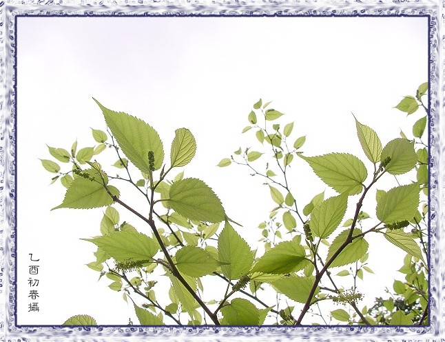 按此在新視窗瀏覽圖片