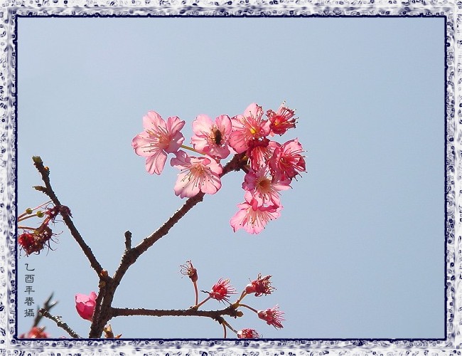 按此在新視窗瀏覽圖片