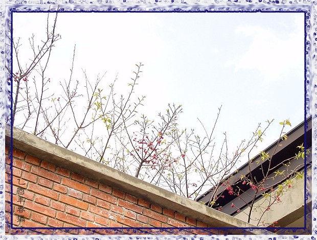 按此在新視窗瀏覽圖片