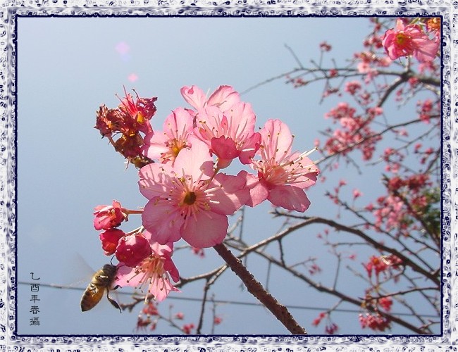 按此在新視窗瀏覽圖片