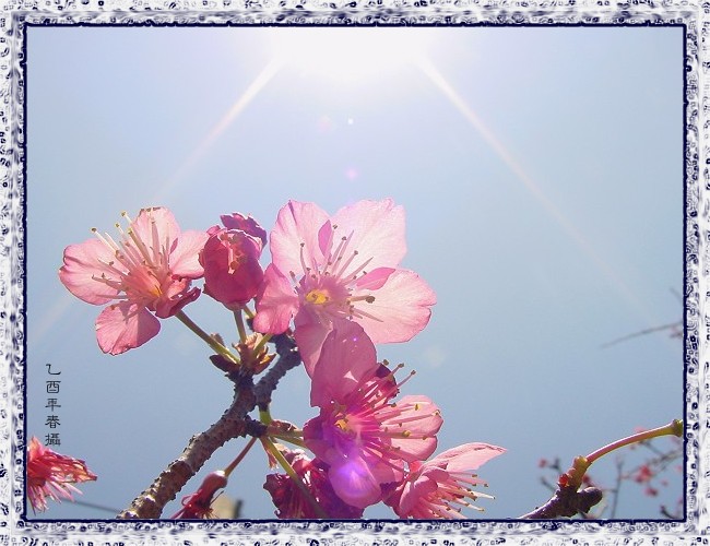 按此在新視窗瀏覽圖片