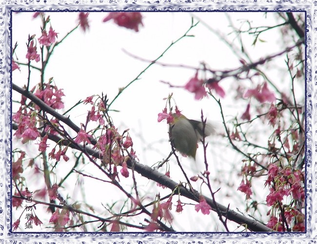 按此在新視窗瀏覽圖片