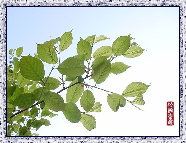 按此在新視窗瀏覽圖片