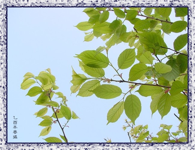 按此在新視窗瀏覽圖片