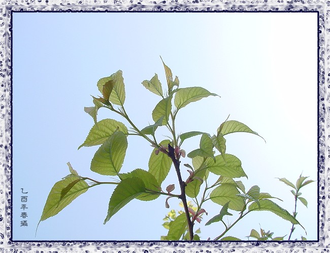 按此在新視窗瀏覽圖片