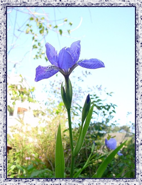 按此在新視窗瀏覽圖片