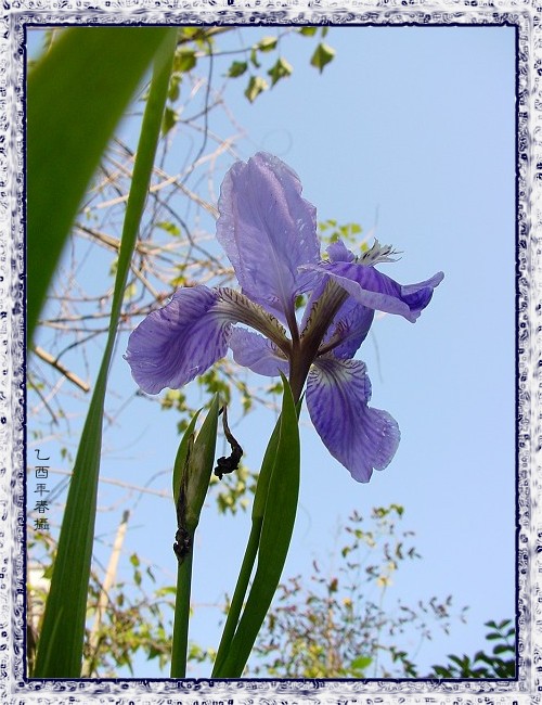 按此在新視窗瀏覽圖片