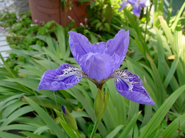 按此在新視窗瀏覽圖片