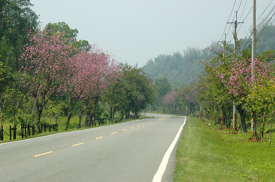 按此在新視窗瀏覽圖片