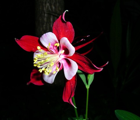 按此在新視窗瀏覽圖片