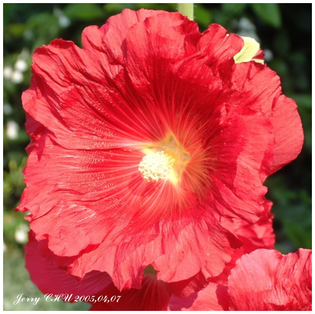 按此在新視窗瀏覽圖片