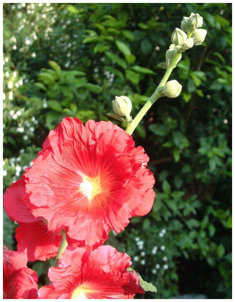 按此在新視窗瀏覽圖片