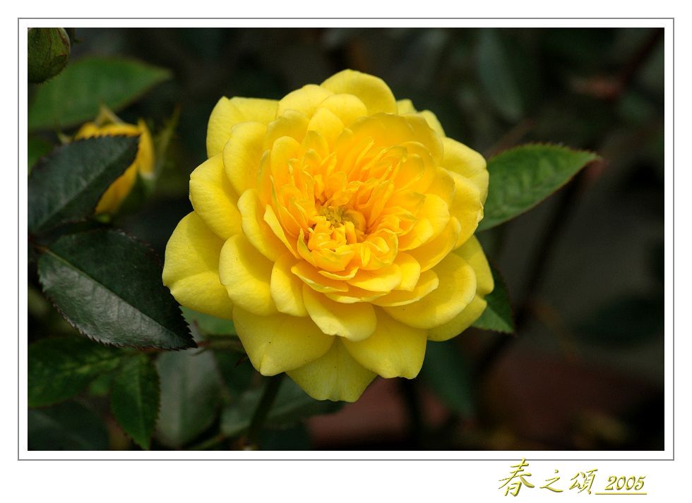 按此在新視窗瀏覽圖片