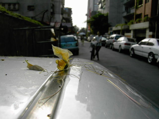 按此在新視窗瀏覽圖片