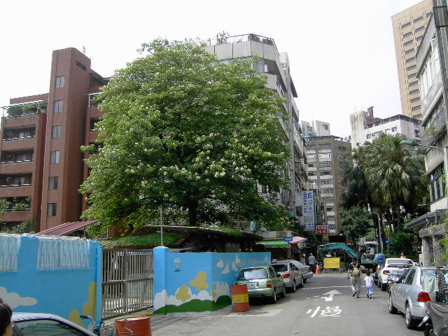 按此在新視窗瀏覽圖片