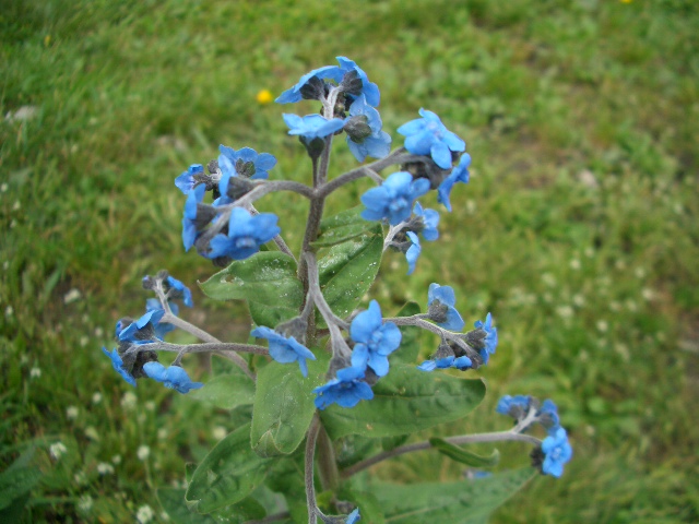 按此在新視窗瀏覽圖片