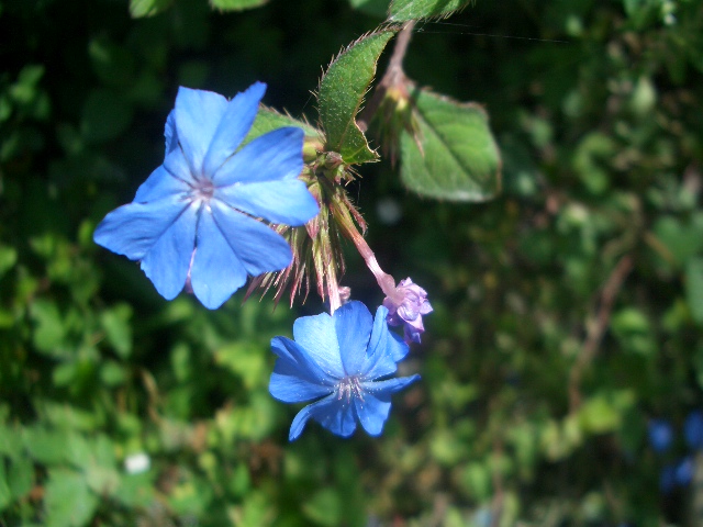 按此在新視窗瀏覽圖片