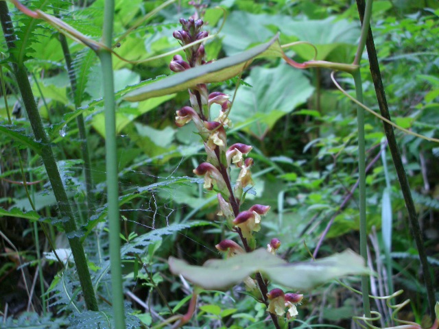 按此在新視窗瀏覽圖片