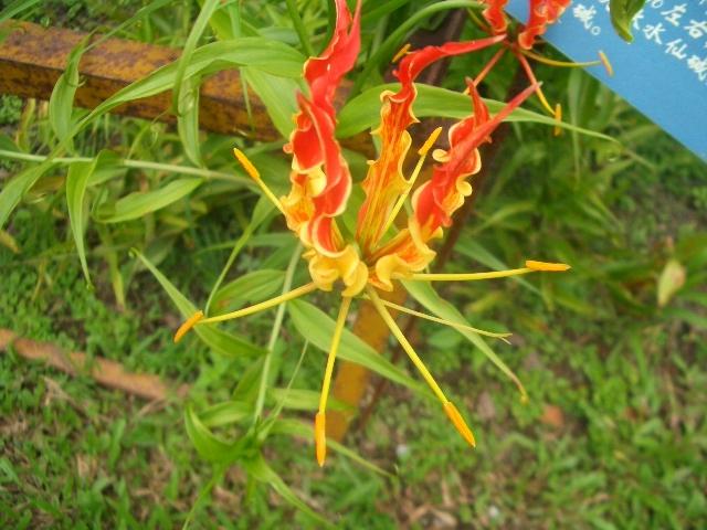 按此在新視窗瀏覽圖片