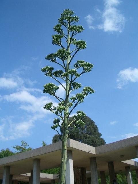 按此在新視窗瀏覽圖片