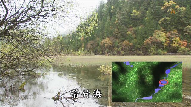 按此在新視窗瀏覽圖片