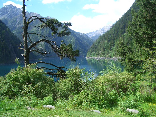 按此在新視窗瀏覽圖片