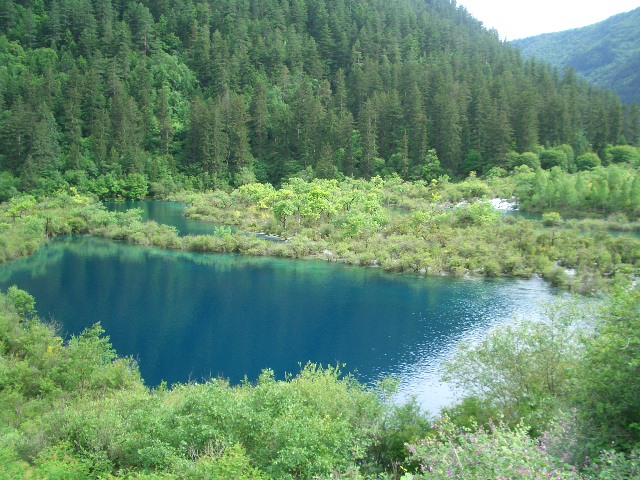 按此在新視窗瀏覽圖片