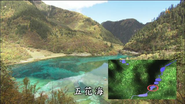 按此在新視窗瀏覽圖片