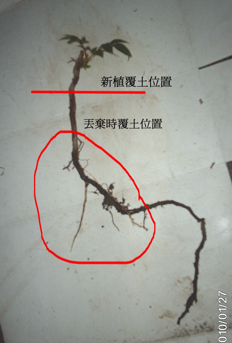 «ö¦¹¦b·sµøµ¡ÂsÄý¹Ï¤ù