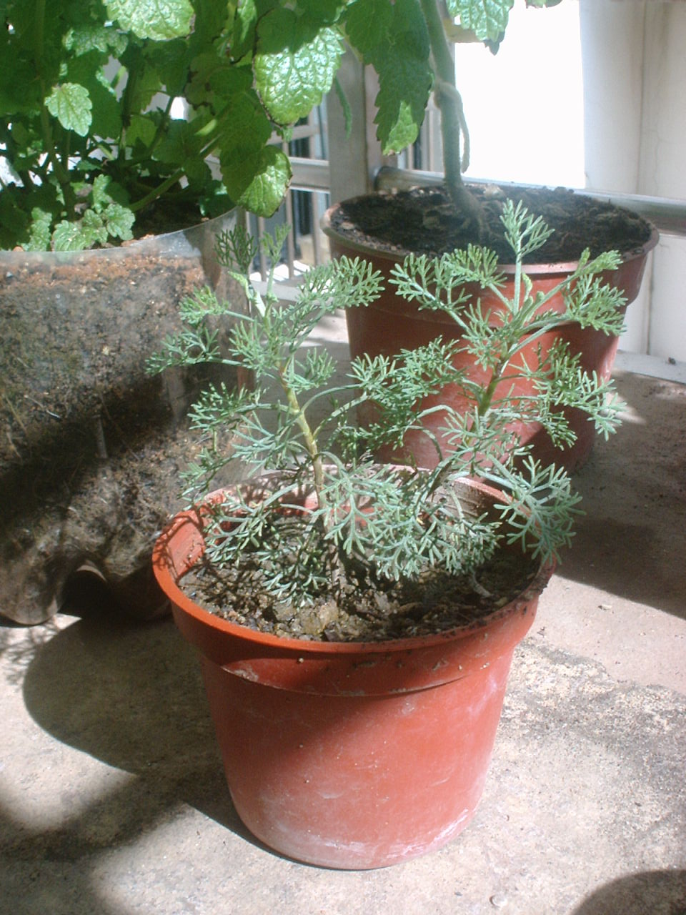 按此在新視窗瀏覽圖片