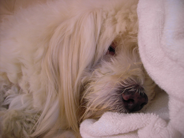 «ö¦¹¦b·sµøµ¡ÂsÄý¹Ï¤ù