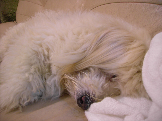 «ö¦¹¦b·sµøµ¡ÂsÄý¹Ï¤ù