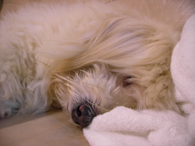 «ö¦¹¦b·sµøµ¡ÂsÄý¹Ï¤ù