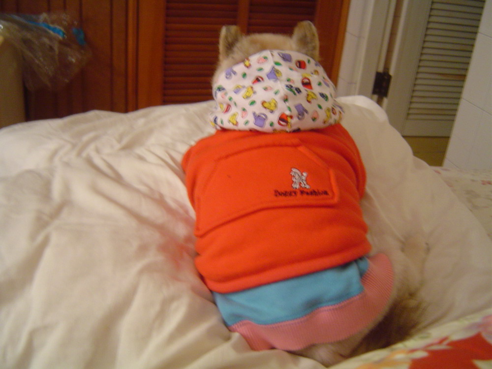 «ö¦¹¦b·sµøµ¡ÂsÄý¹Ï¤ù