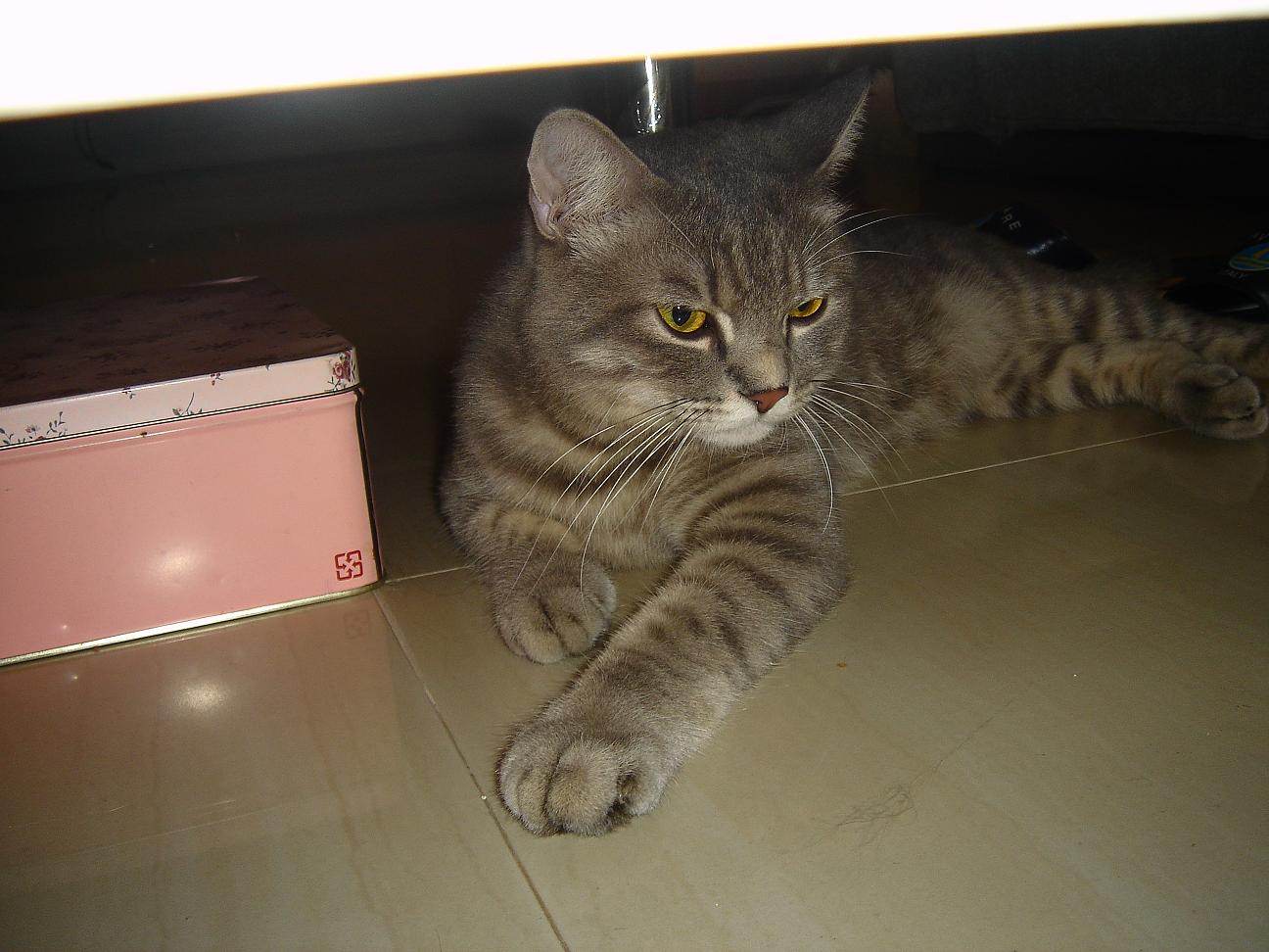 «ö¦¹¦b·sµøµ¡ÂsÄý¹Ï¤ù