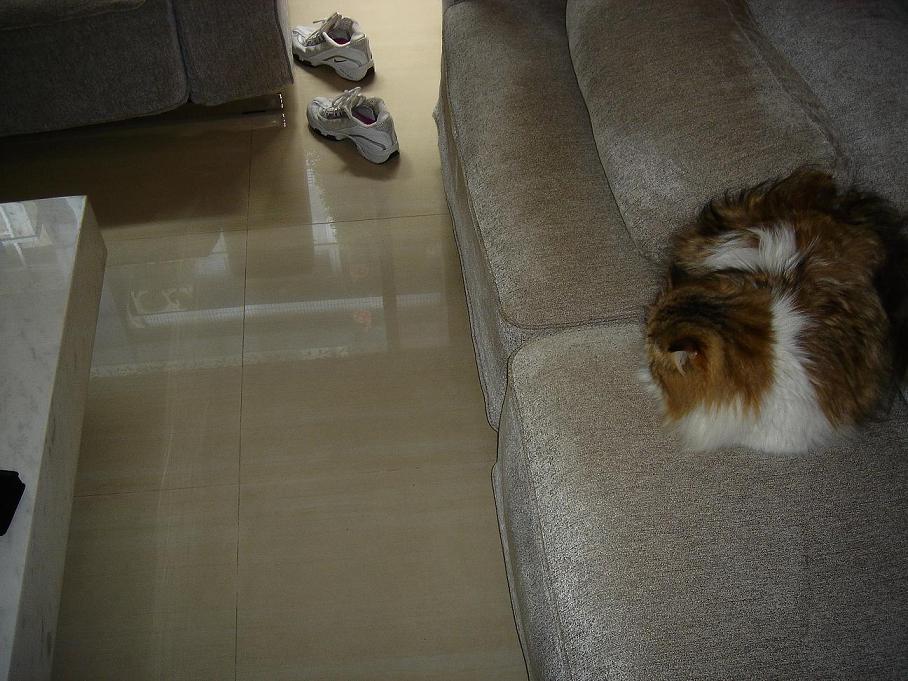 «ö¦¹¦b·sµøµ¡ÂsÄý¹Ï¤ù